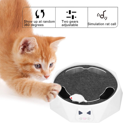 Interactive Cat Toy for Fun Exercise and Smart Playtime Stimulation 15051818434886-1