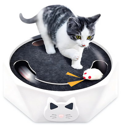 Interactive Cat Toy for Fun Exercise and Smart Playtime Stimulation 15051818434886-1