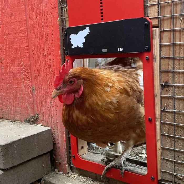 Smart Automatic Chicken Coop Door Opener For Safe Poultry Farming 8804230562073-1