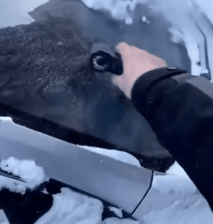 The Ultimate Tool Against Snow 10052304339290-1