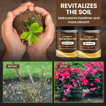 Nutrient-Rich Soil Activator For Healthy Plants And Flowers 10473995960654-1