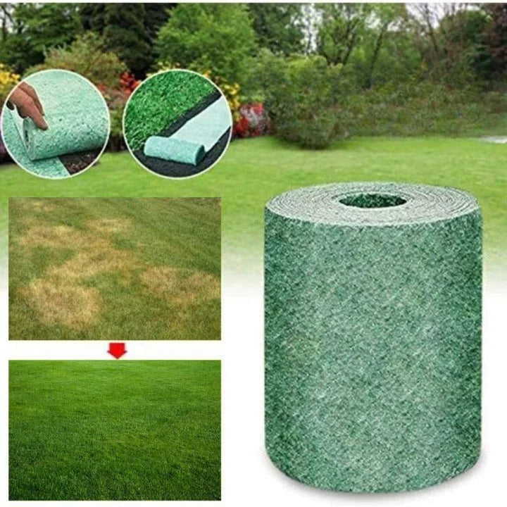 Eco Friendly Lawn Alternative Replaces Grass For Greener Outdoor Solution 14902377873734-1