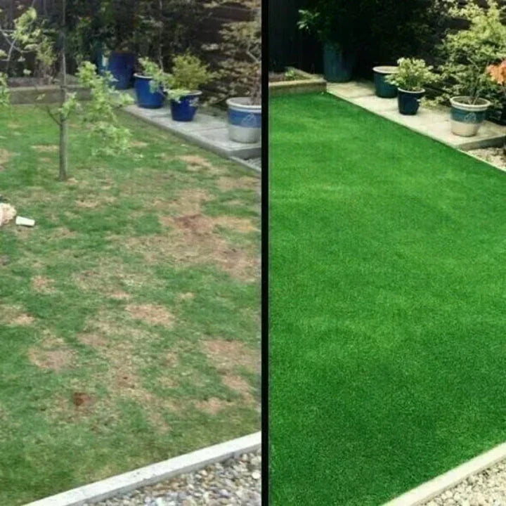 Eco Friendly Lawn Alternative Replaces Grass For Greener Outdoor Solution 14902377873734-1