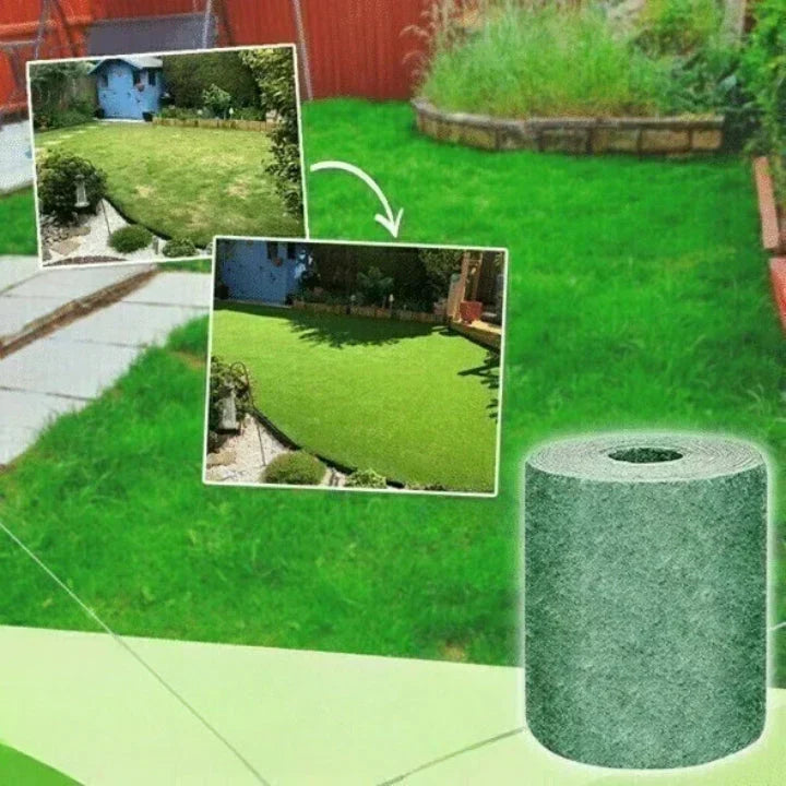 Eco Friendly Lawn Alternative Replaces Grass For Greener Outdoor Solution 14902377873734-1