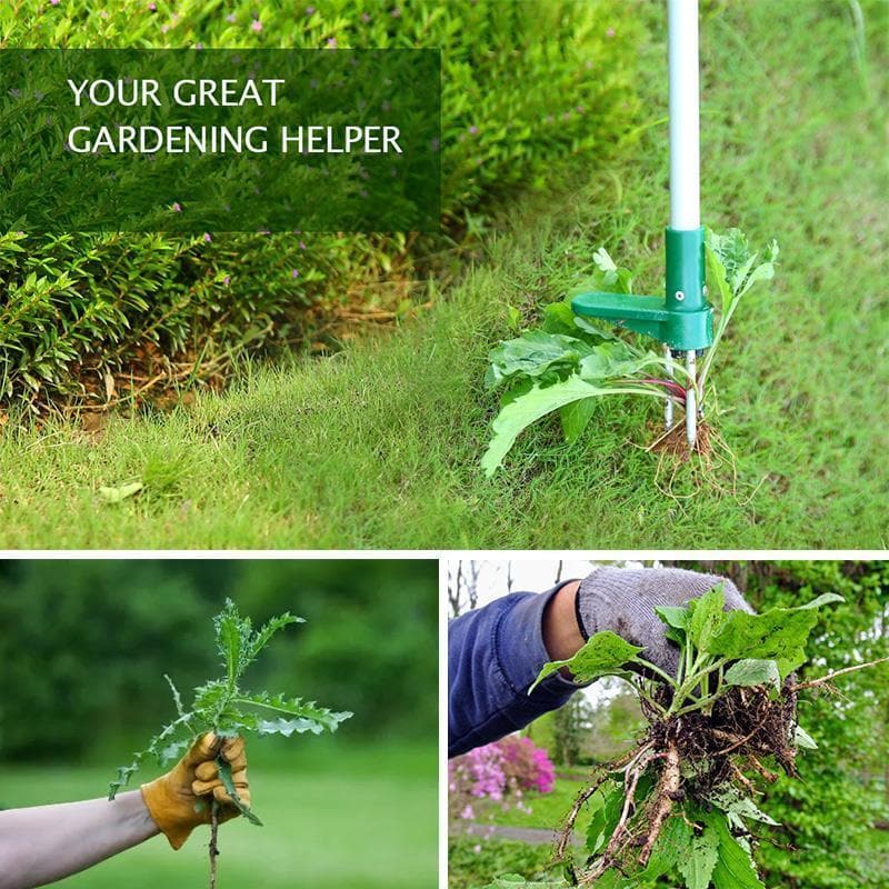 Standing Plant Root Remover Long Handle Stainless Steel Garden Weeding Tool 14814337564998-1