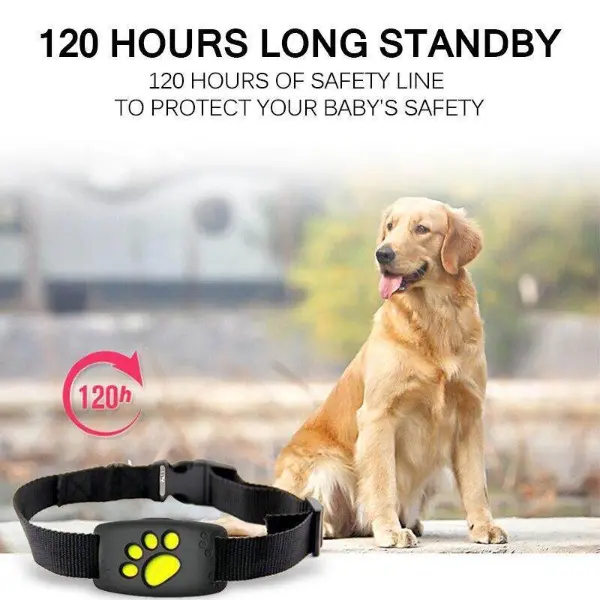 Cat Gps Tracker Locator Device For Pets