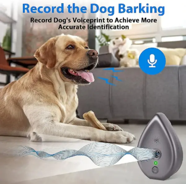 Long-Range Anti Barking Device – Ultrasonic Bark Control3