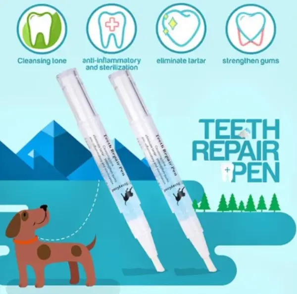 Pet S Teeth Health By Repairing And Preventing Disease1