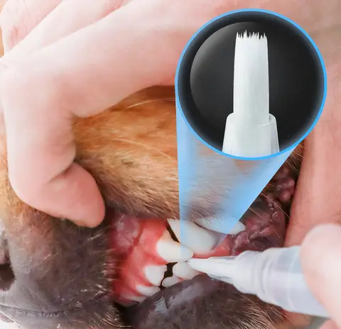 Pet Teeth Cleaning Pen - Pet DogCat Teeth Cleaning Pen