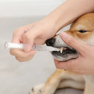 Pet'S Teeth Health By Repairing And Preventing Disease1