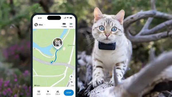 Smart Gps Cat Collar – Pet Tracker