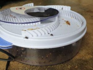 Automatic Electronic Fly Trap Catch Flies the Easiest and Fastest Way Possible! photo review