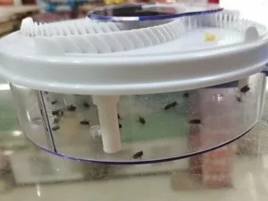 Automatic Electronic Fly Trap Catch Flies the Easiest and Fastest Way Possible! photo review