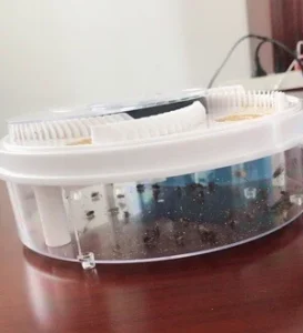 Automatic Electronic Fly Trap Catch Flies the Easiest and Fastest Way Possible! photo review