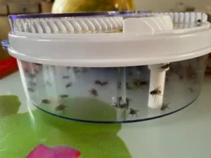 Automatic Electronic Fly Trap Catch Flies the Easiest and Fastest Way Possible! photo review