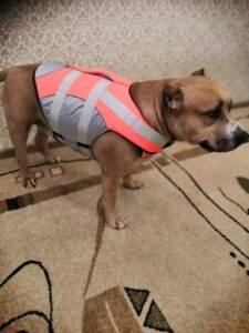 Dog Splash Life Jacket Vest With Floating Foam photo review