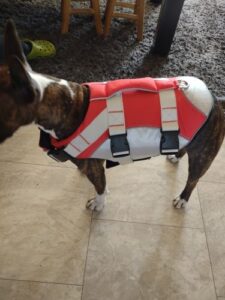 Dog Splash Life Jacket Vest With Floating Foam photo review