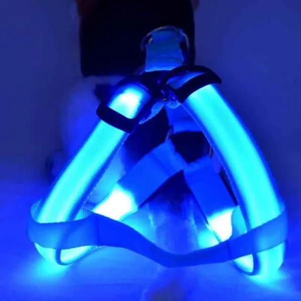 SafeWalk LED Dog Harness3