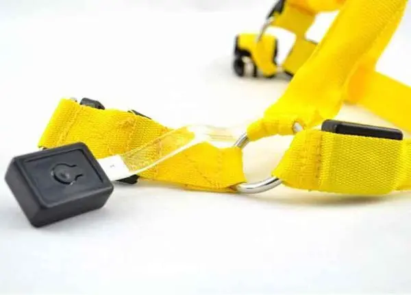 SafeWalk LED Dog Harness4