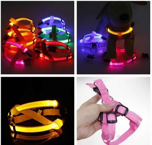 SafeWalk LED Dog Harness5