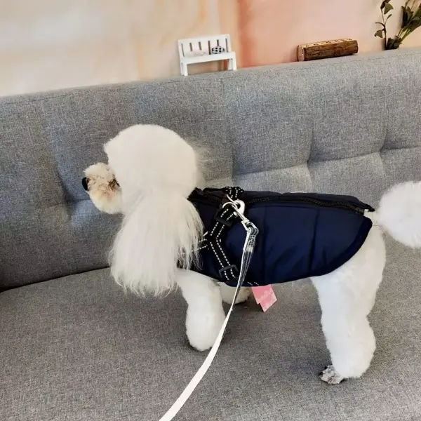 Winter Pet Jacket With Harness6