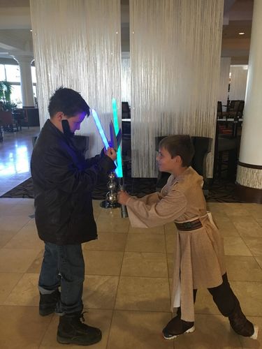 Retractable 7-Color LED Lightsaber for Kids and Adults photo review