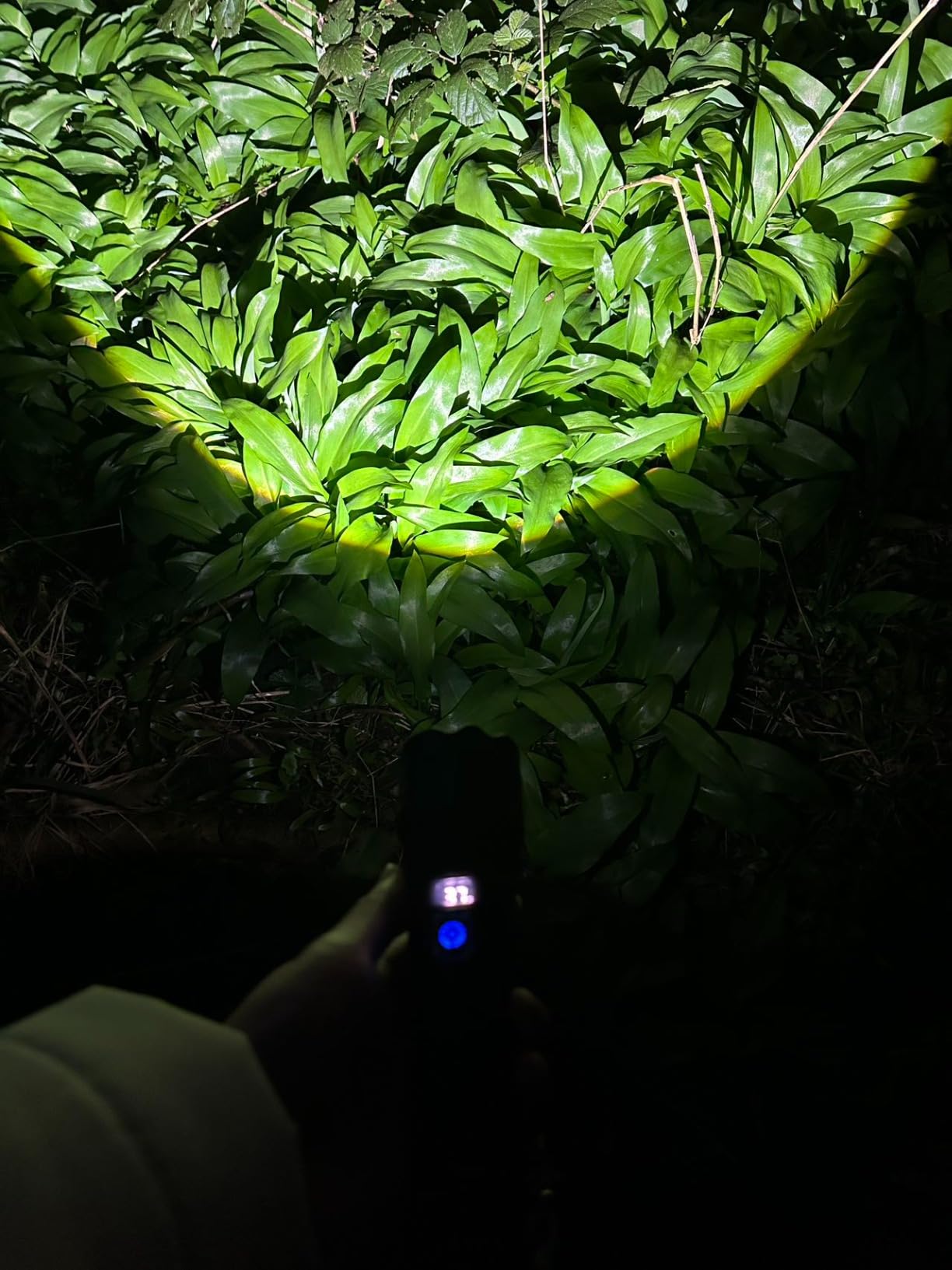 High Power LED Flashlight with Type-C USB Rechargeable photo review