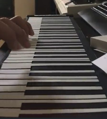 61-Key Portable Roll-Up Piano photo review