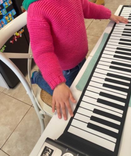 61-Key Portable Roll-Up Piano photo review