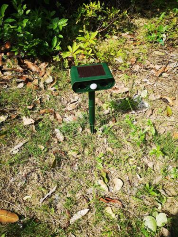 Solar Ultrasonic Animal Repellent for Outdoor Garden & Yard photo review