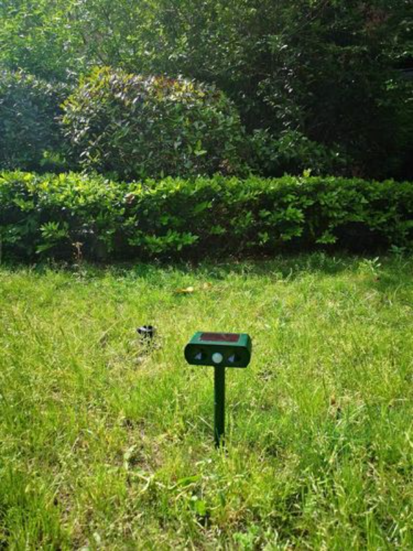 Solar Ultrasonic Animal Repellent for Outdoor Garden & Yard photo review