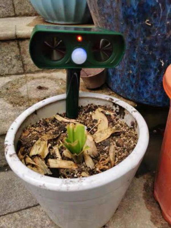 Solar Ultrasonic Animal Repellent for Outdoor Garden & Yard photo review