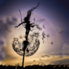 Wind To Fly