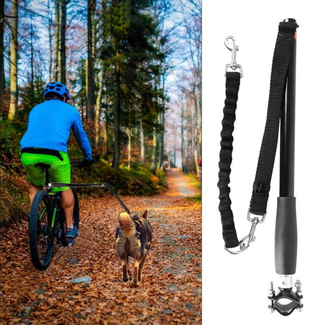 Dog Bike Leash Attachment for Safe Running and Cycling